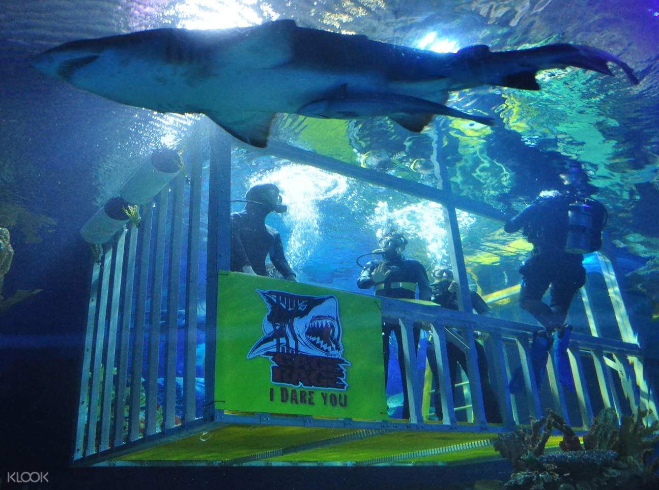 Cage Rage Experience by Aquaria KLCC in Kuala Lumpur, Malaysia
